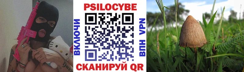 Псилоцибиновые грибы GOLDEN TEACHER  ссылка на мегу рабочий сайт  Камешково  купить наркотики цена 